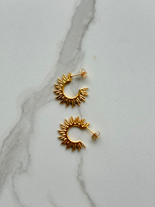 Hot Sun Earrings